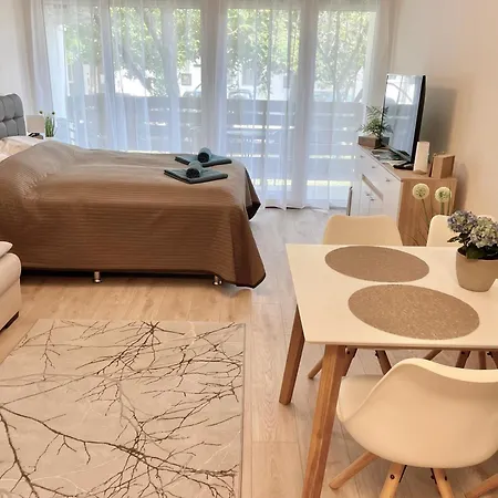 Bella Stella 블로톤퓌레드