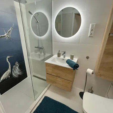 Bella Stella 블로톤퓌레드